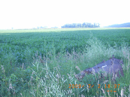 Photo not available